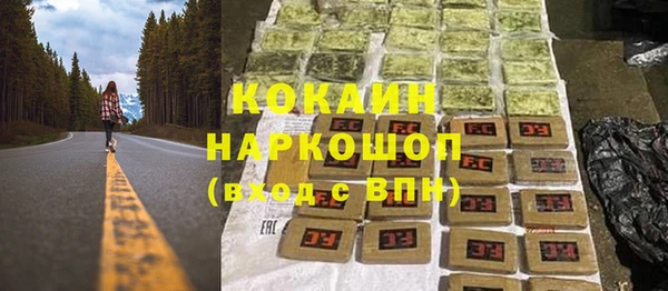 2c-b Ельня