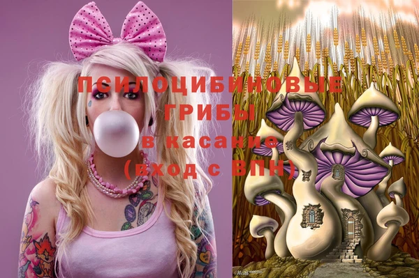 2c-b Ельня