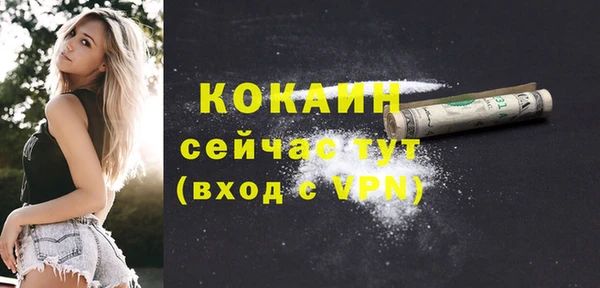 2c-b Ельня