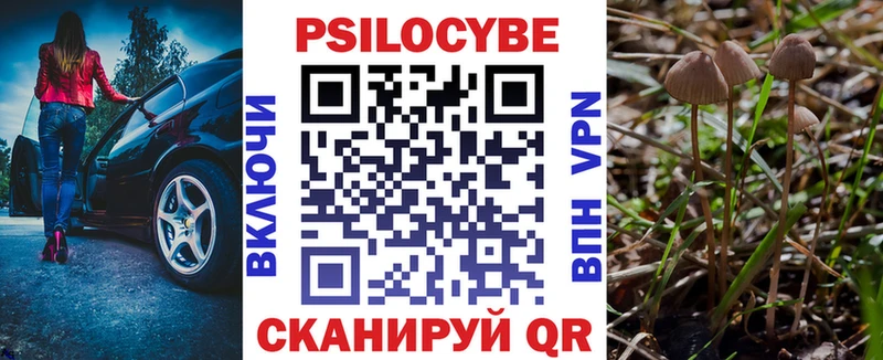 Купить где Мариинский Посад Галлюциногенные грибы прущие грибы